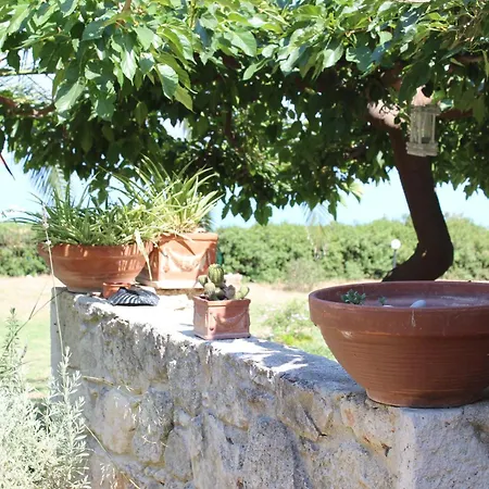 Holiday home Nael By The Sea Afytos